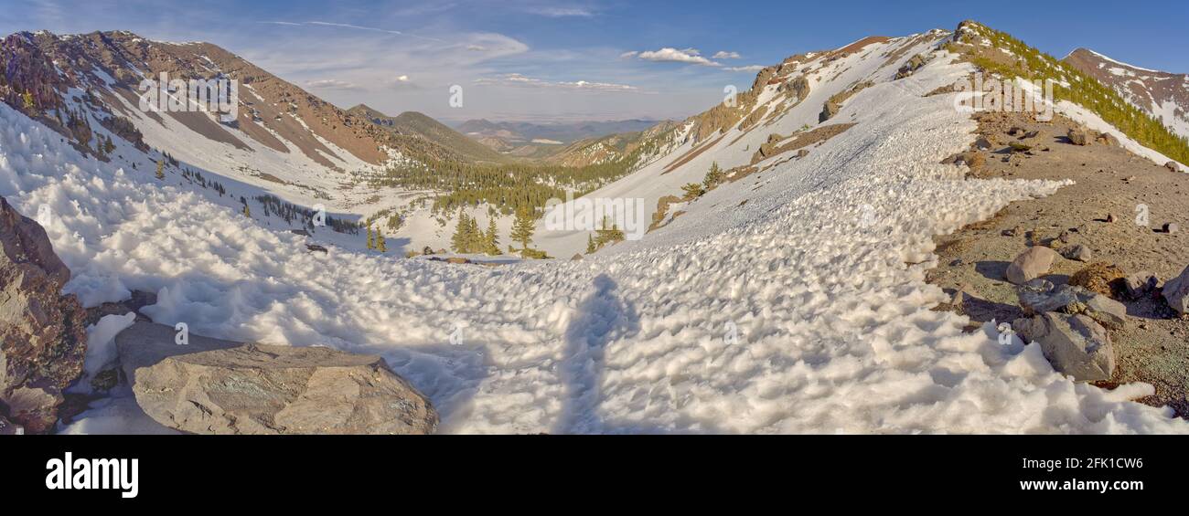 La sella tra Humphrey's e Agassiz Peaks Arizona Foto Stock