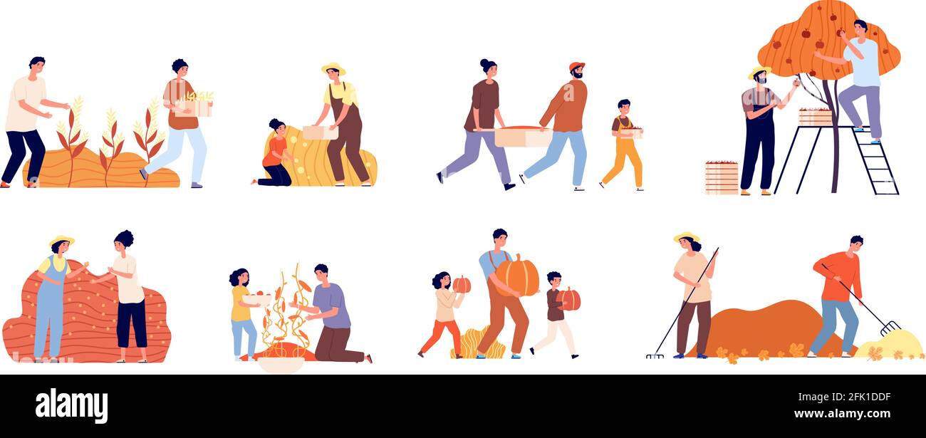 Riunione d'autunno. Persone di coltivatore, giardinieri di raccolta piani. Giovane uomo che pianta frutta. Stagione di raccolto, donna che lavora agricoltura insieme vettore Illustrazione Vettoriale
