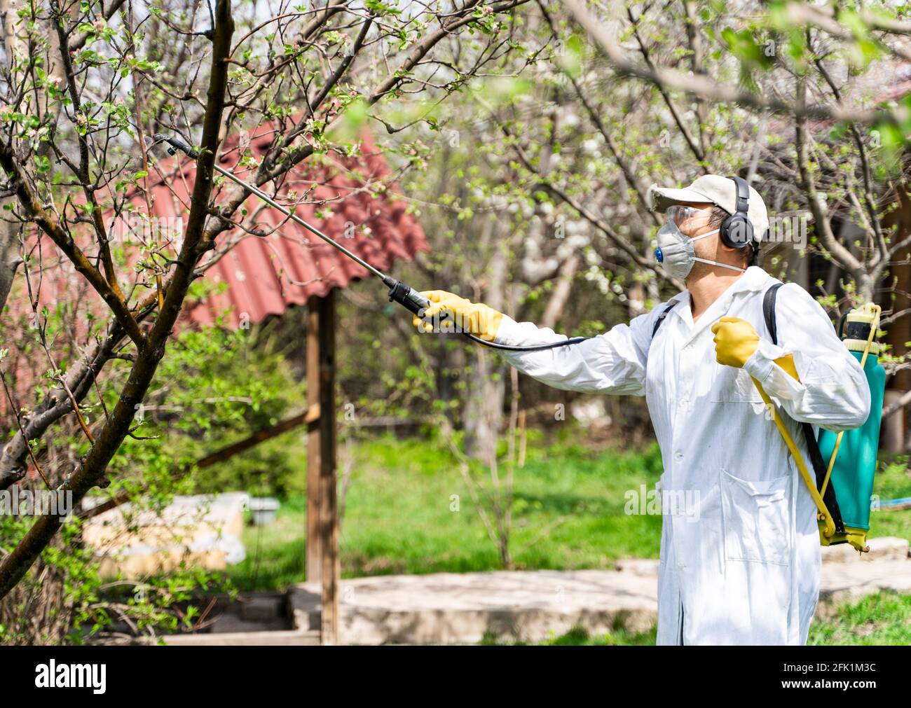 Uomo in un giardino con sprayer a pressione zaino proteggendo gli alberi contro parassiti e malattie fungine. Foto Stock