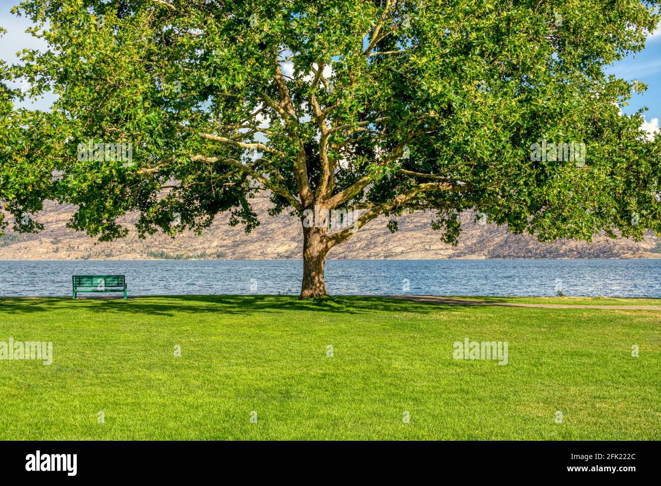 Panca solitaria sulla riva con vista lago e montagne sotto il castagno Foto Stock