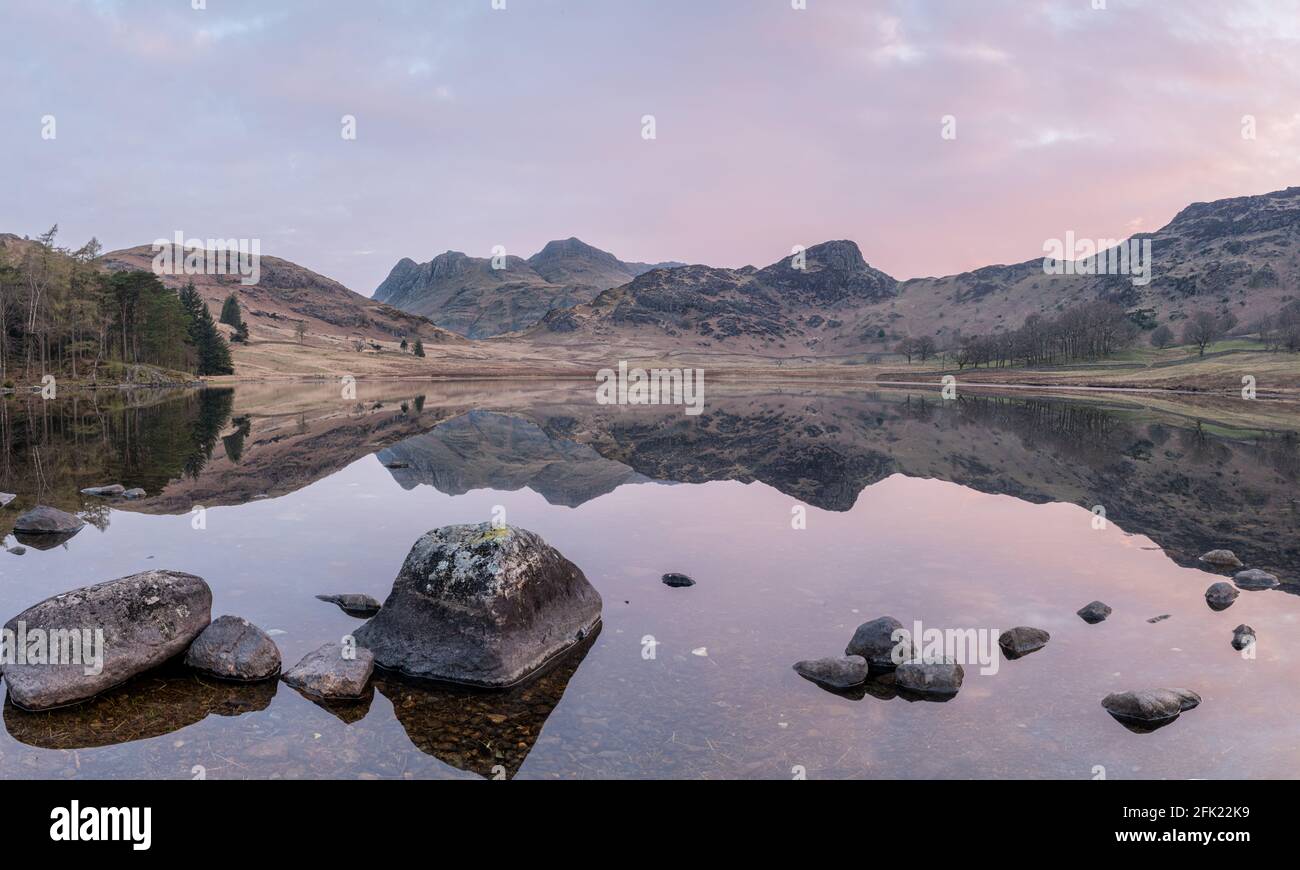 Langdale Pikes si riflette perfettamente in Blea Tarn all'alba in molla Foto Stock