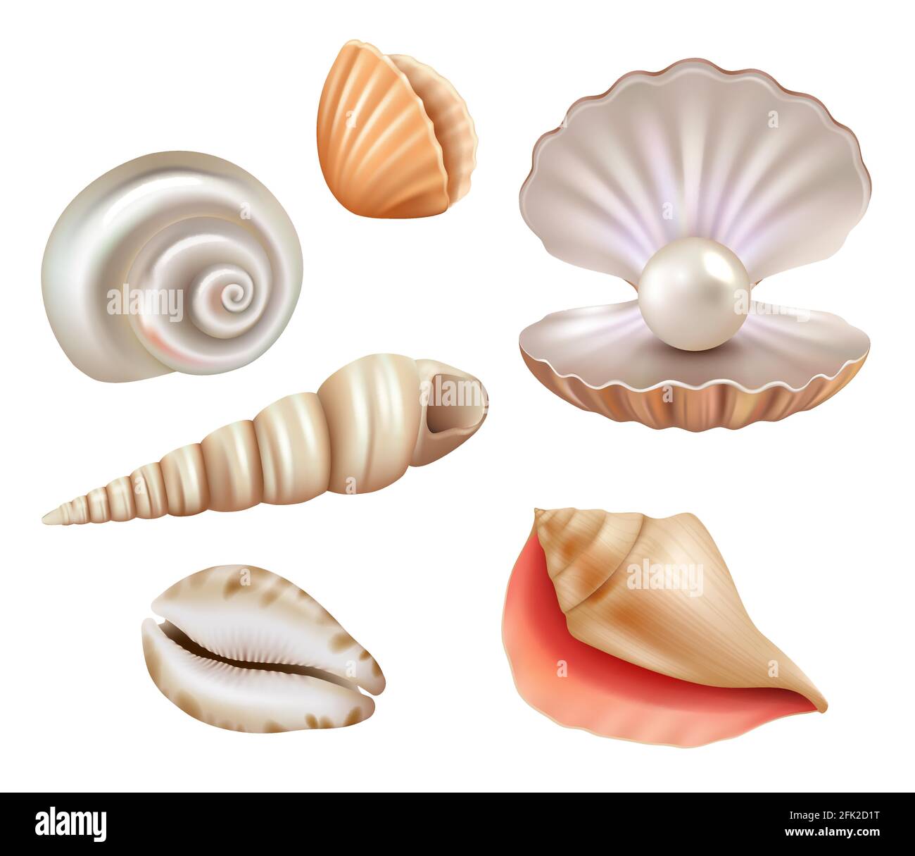 Campane aperte. Perle di lusso e oggetti marini dal mare o vettore oceano insieme realistico Illustrazione Vettoriale