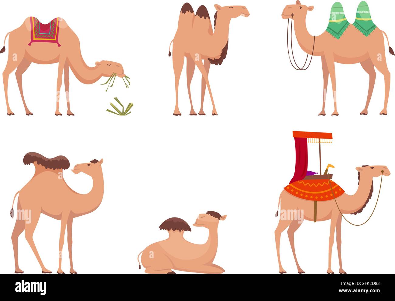 Cammello. Deserto africano egitto o india viaggi animali vettore cartoni animati cammelli illustrazioni Illustrazione Vettoriale