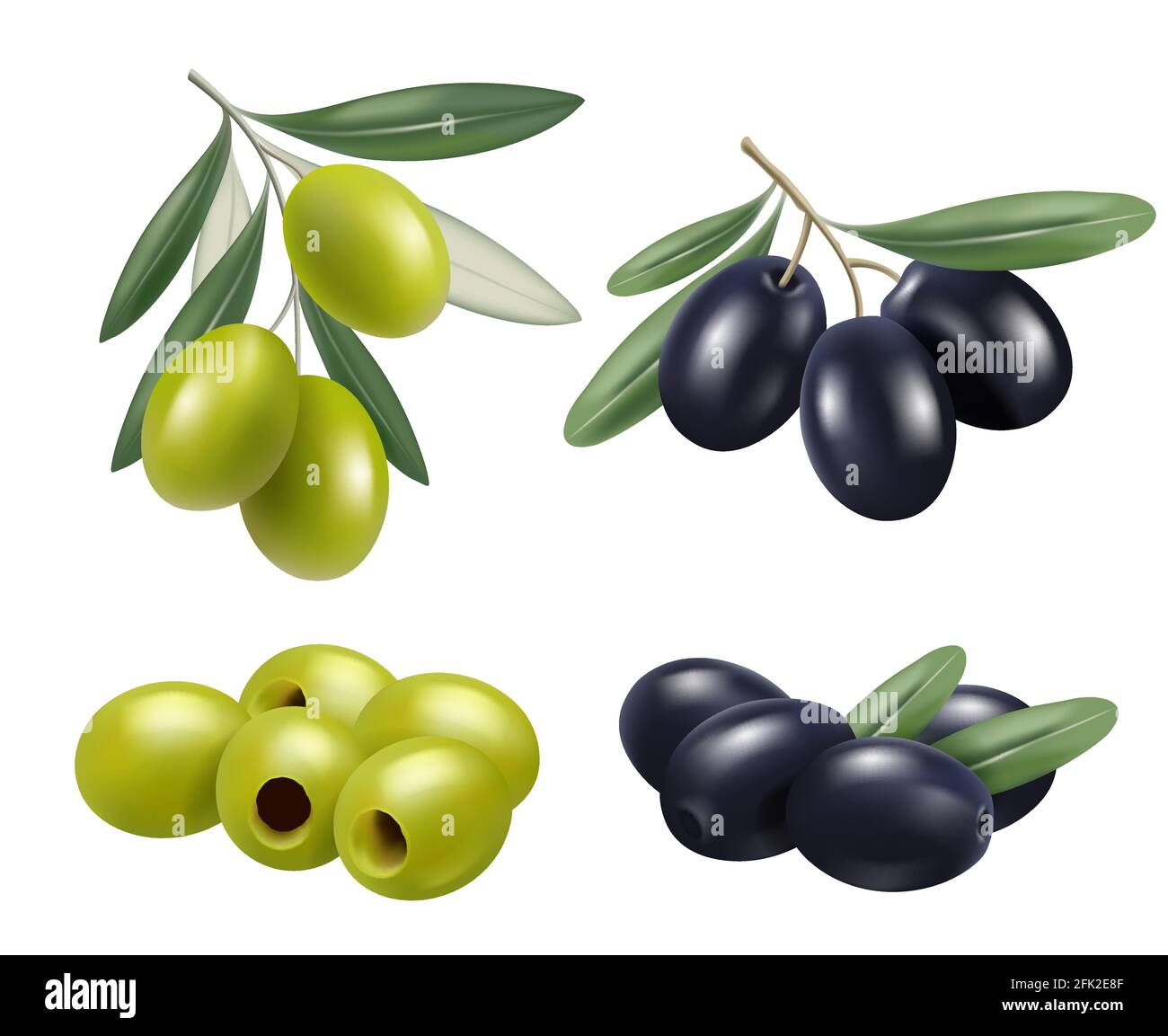 Ulivo realistico. Greco natura cibo olive rami relax olio termale simboli vettoriali Illustrazione Vettoriale