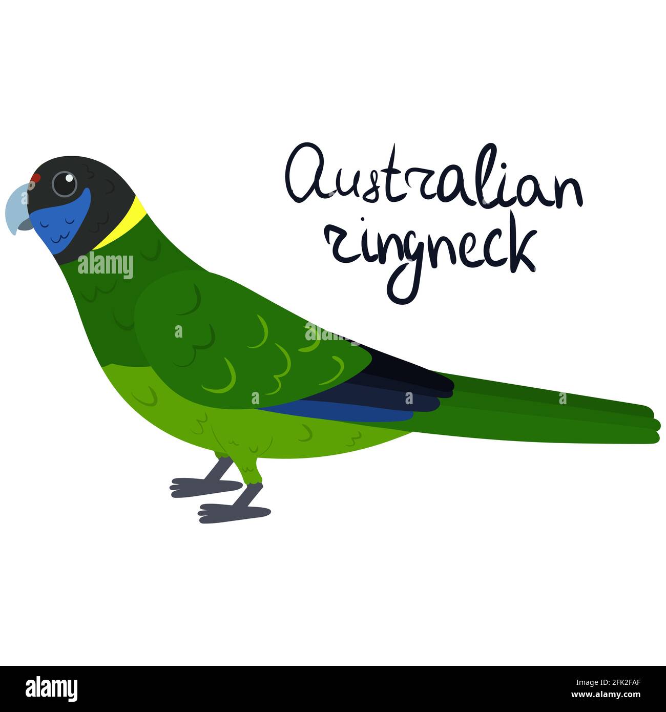 Australian anneck Parakeet in stile cartoon su sfondo bianco. Illustrazione vettoriale disegnata a mano. Barnardius zonarius Illustrazione Vettoriale