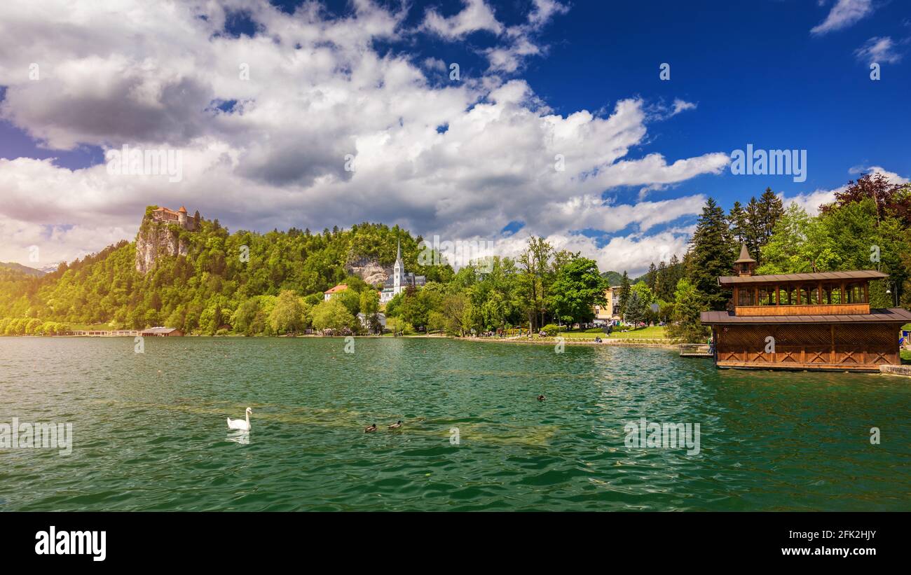 Incredibile scenario soleggiato del castello di Bled e la chiesa di San Martino e la città di Bled con la riflessione sul lago e le Alpi Giulie sullo sfondo. Lago di Bled, S Foto Stock