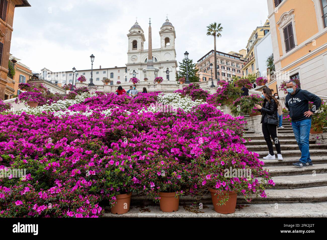 Roma, Italia, 27 aprile 2021. Azeleas in fiore sulla scalinata di Piazza di Spagna. In questo giorno le due case del Parlamento italiano hanno approvato il piano di ripresa del governo (Pnrr, piano Nazionale per la ripresa e la resilienza) relativo all'utilizzo di sovvenzioni e prestiti UE per le economie europee colpite dalla pandemia di Coronavirus. Foto Stock