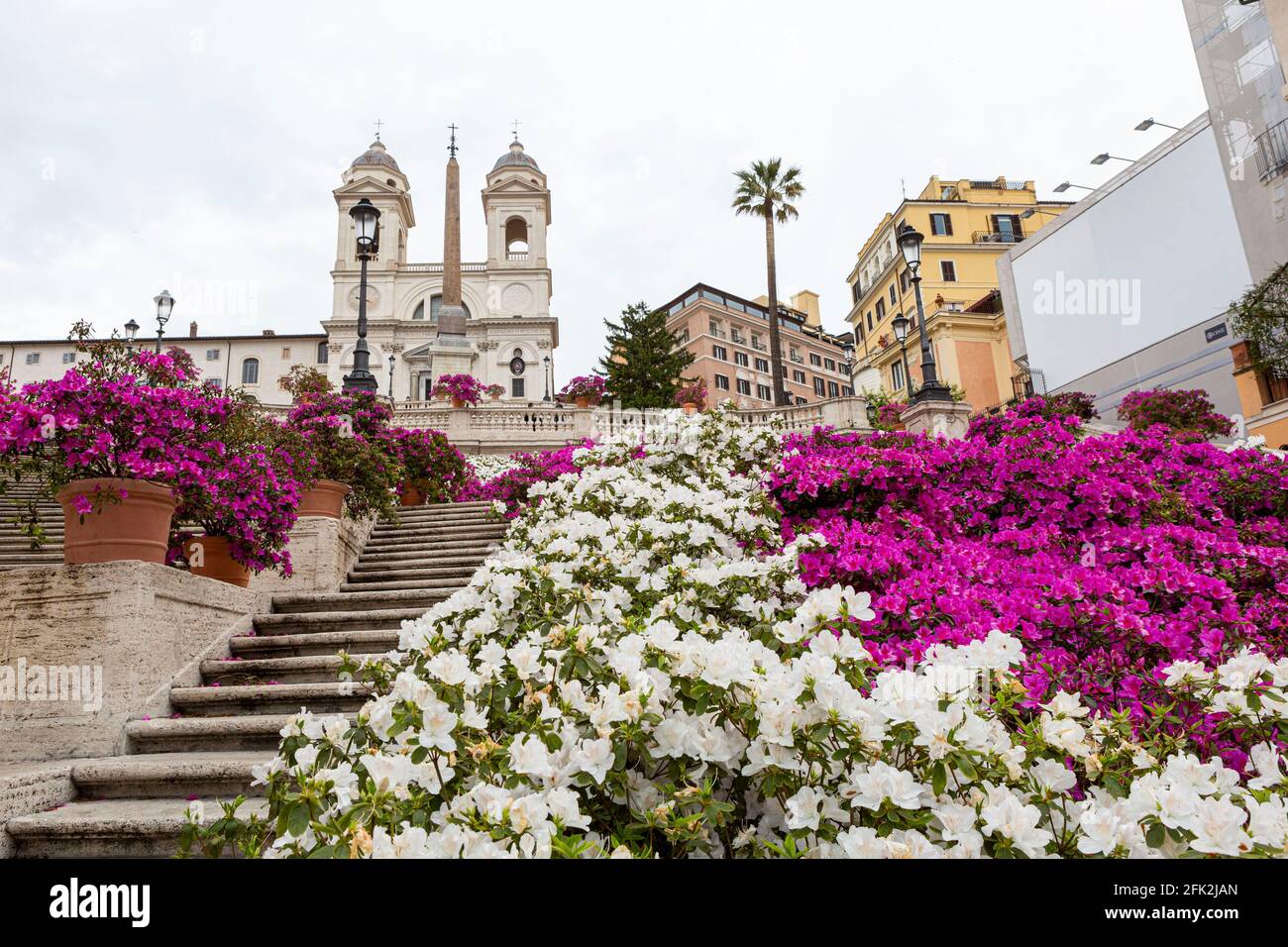 Roma, Italia, 27 aprile 2021. Azeleas in fiore sulla scalinata di Piazza di Spagna. In questo giorno le due case del Parlamento italiano hanno approvato il piano di ripresa del governo (Pnrr, piano Nazionale per la ripresa e la resilienza) relativo all'utilizzo di sovvenzioni e prestiti UE per le economie europee colpite dalla pandemia di Coronavirus. Foto Stock