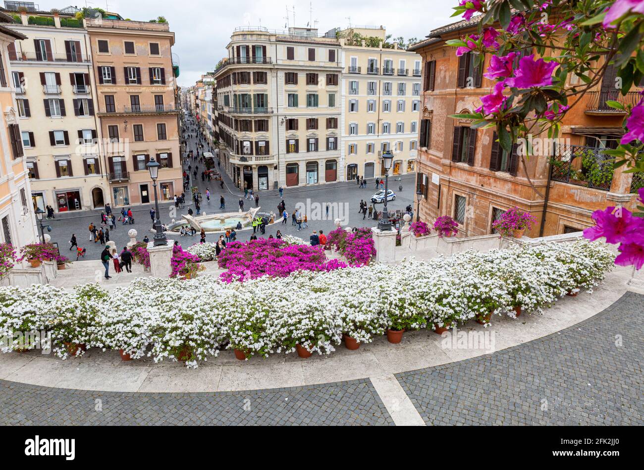 Roma, Italia, 27 aprile 2021. Azeleas in fiore sulla scalinata di Piazza di Spagna. In questo giorno le due case del Parlamento italiano hanno approvato il piano di ripresa del governo (Pnrr, piano Nazionale per la ripresa e la resilienza) relativo all'utilizzo di sovvenzioni e prestiti UE per le economie europee colpite dalla pandemia di Coronavirus. Foto Stock