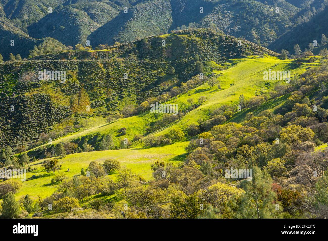 canyon in primavera sul monte Figueroa sopra la valle di Santa Ynez, California Foto Stock