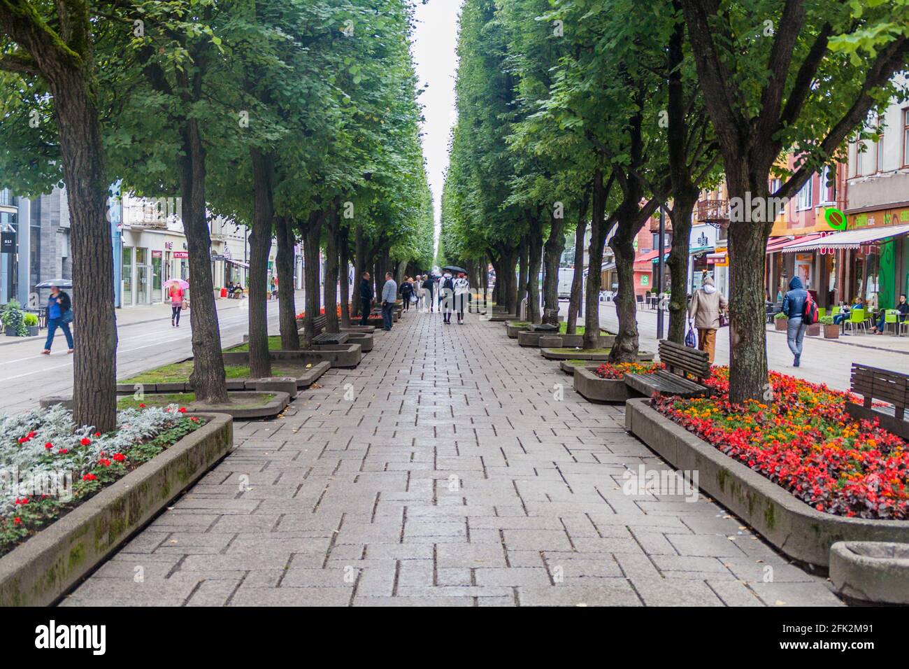 KAUNAS, LITUANIA - 16 AGOSTO 2016: La gente cammina lungo Laisves aleja strada a Kaunas, Lituania Foto Stock