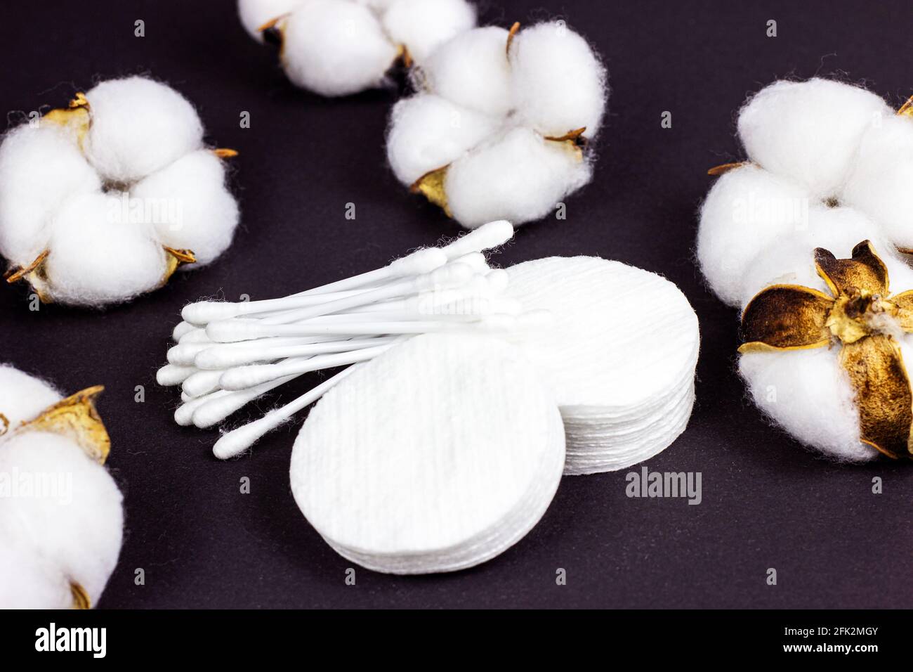 Tamponi e bastoncini bianchi in morbido cotone per l'igiene e la salute su sfondo nero. Foto Stock