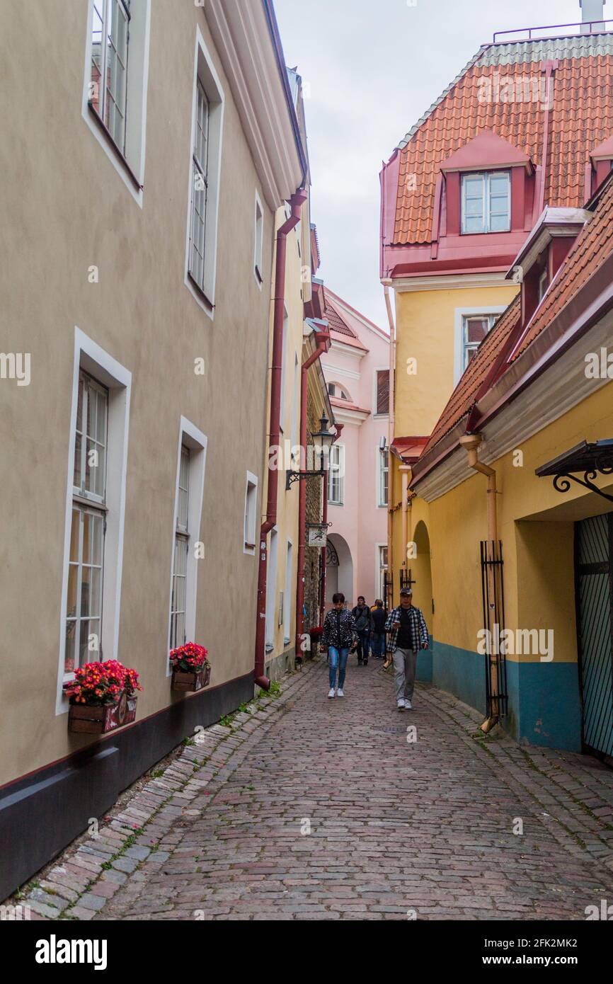 TALLINN, ESTONIA - 22 AGOSTO 2016: Via Rahukohtu acciottolata nel distretto di Toompea a Tallinn. Foto Stock