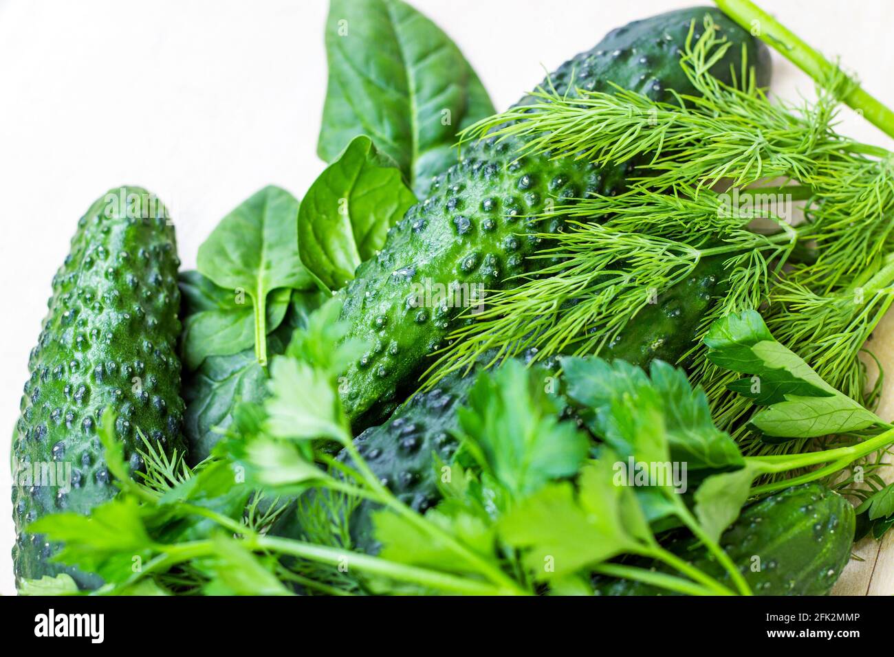 Cetrioli estivi verdi freschi con erbe dell'orto su sfondo chiaro in cucina. Foto Stock