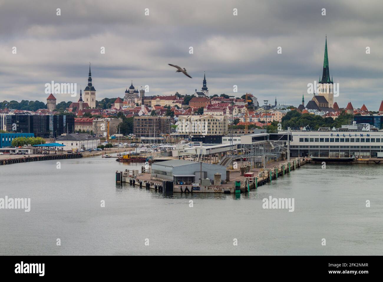 Porto dei traghetti e skyline di Tallinn, Estonia Foto Stock