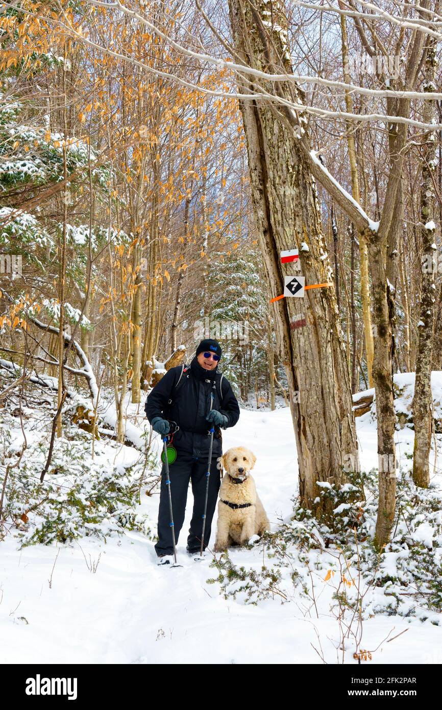 Uomo che camminano con il suo cane in inverno. Foto Stock