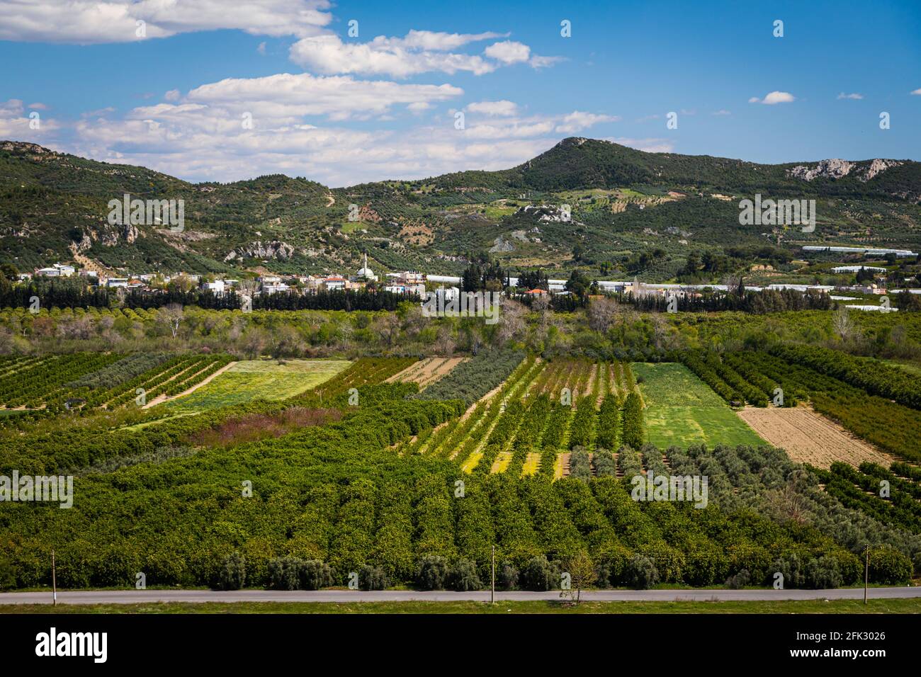 Vista dall'alto di frutteti con alberi di mele, arance, mandarini e  abrokos, banane sullo sfondo delle montagne in un caldo paese Foto stock -  Alamy