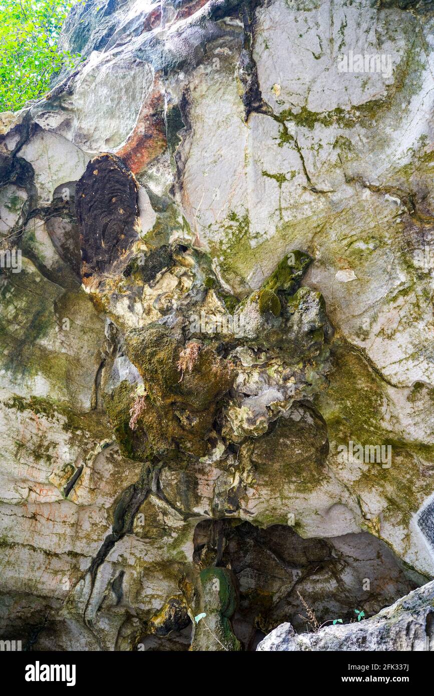 Primo piano di stalattiti in una grotta in una valle Foto Stock