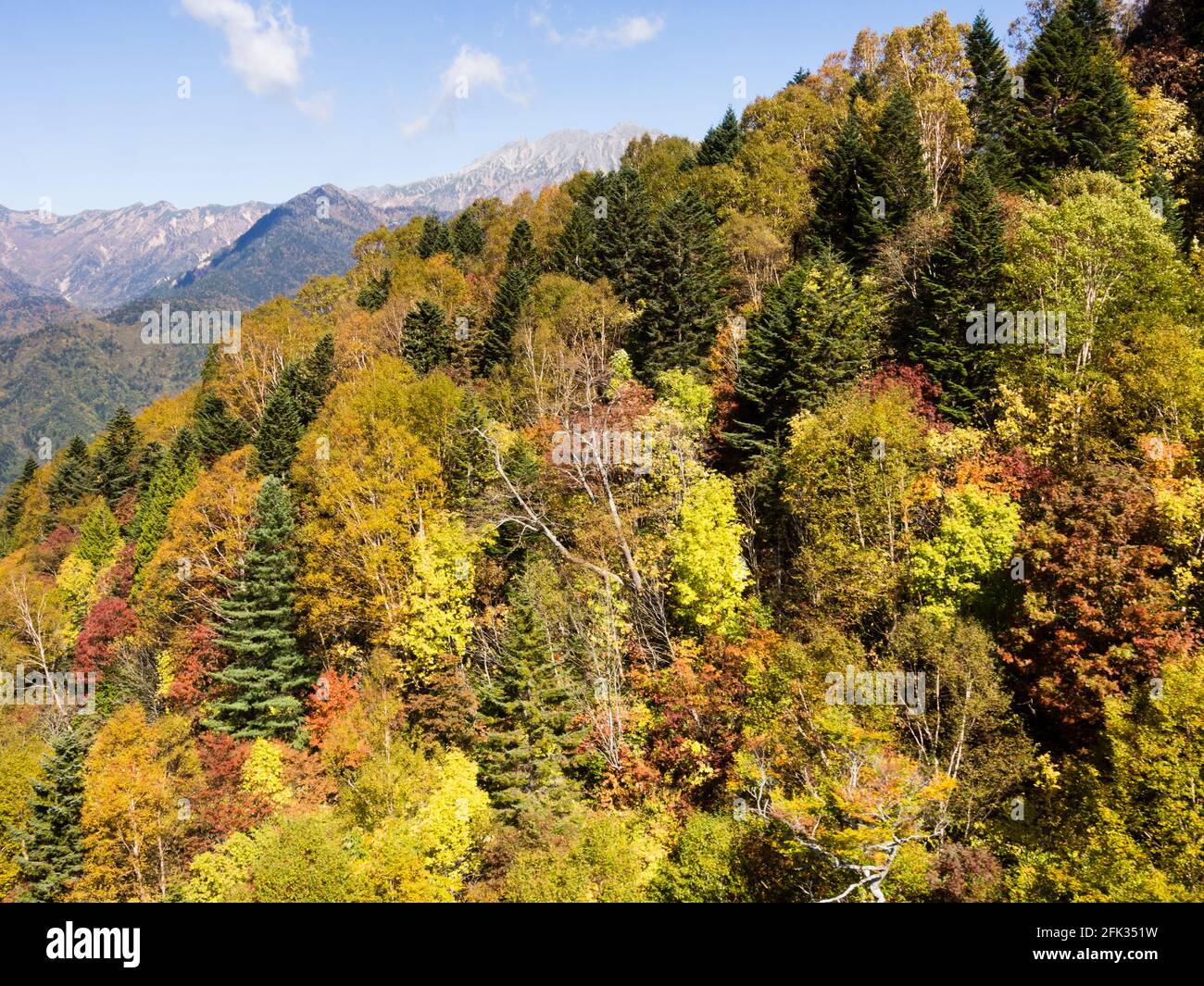 Colori dell'inizio dell'autunno nelle Alpi giapponesi - vista dal percorso Shin-Hotaka nella prefettura di Gifu, Giappone Foto Stock