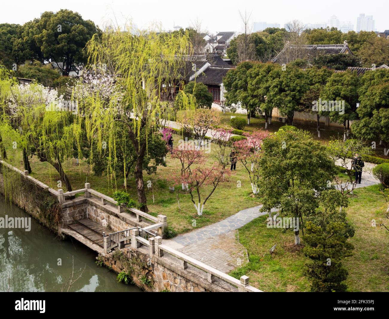 Giardino fiorente di prugne nella zona Panmen di Suzhou Foto Stock