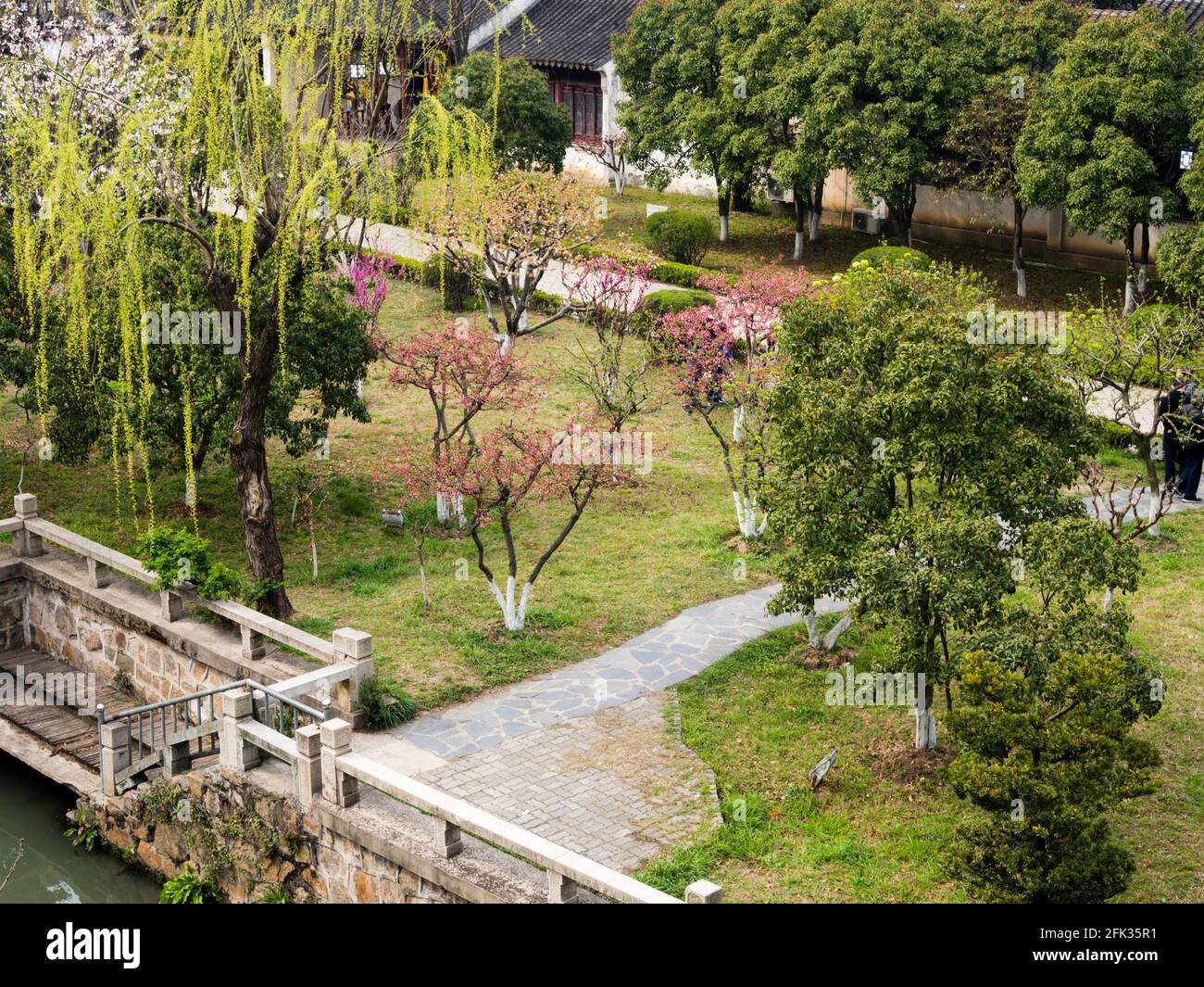 Giardino fiorente di prugne nella zona Panmen di Suzhou Foto Stock