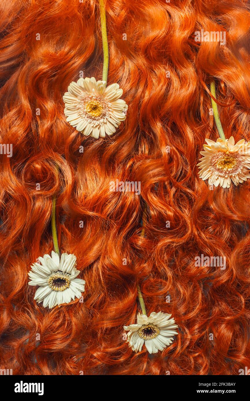 Bella texture capelli ricci rossi con fiori margheriti. Vista dall'alto. Sfondo per la cura dei capelli Foto Stock