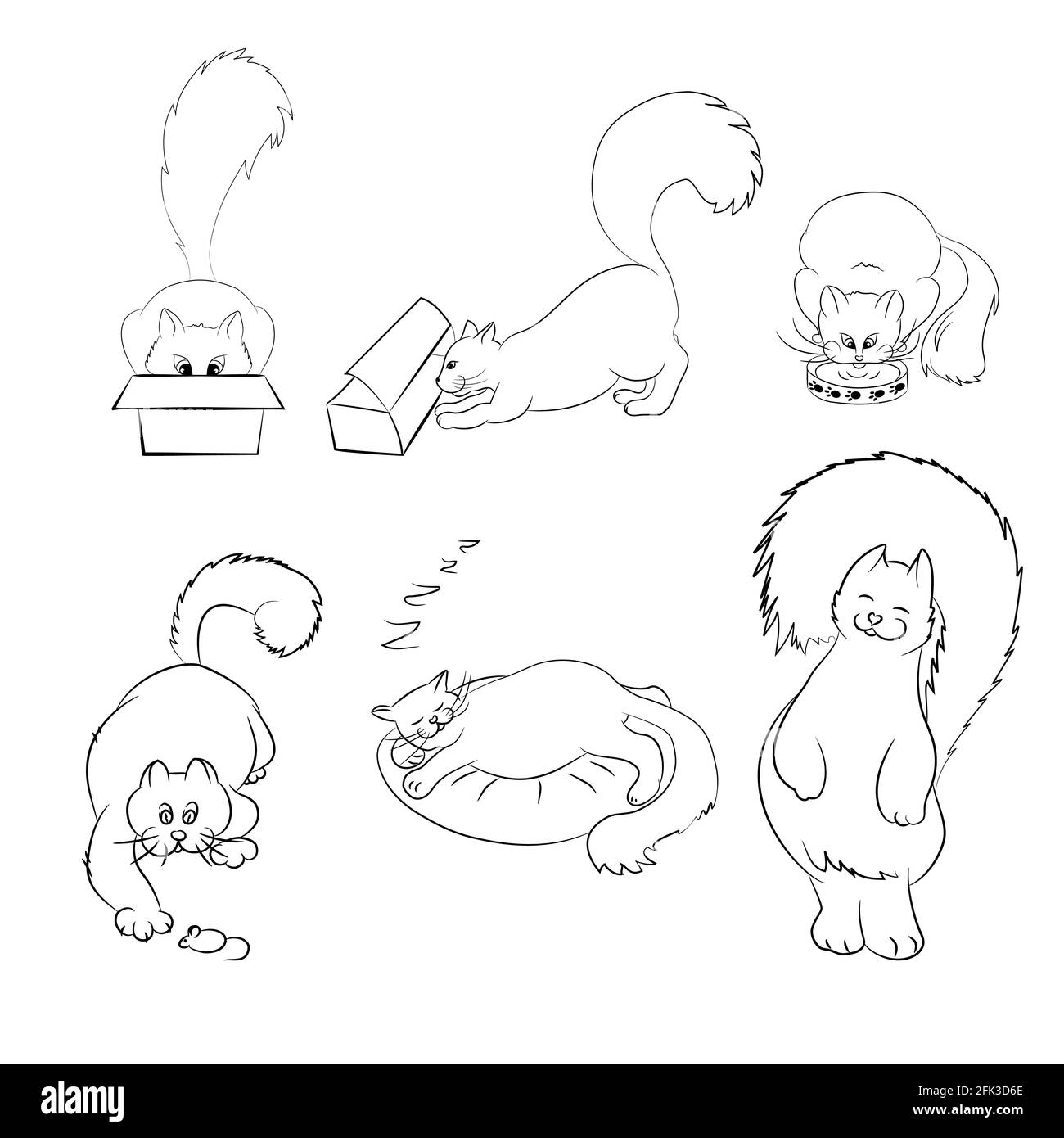 Collezione di varie figure di un gatto grasso felice nello stile di linea art. Set di sagome di un animale domestico. Illustrazione vettoriale. Utilizzare per i loghi di veterina Illustrazione Vettoriale