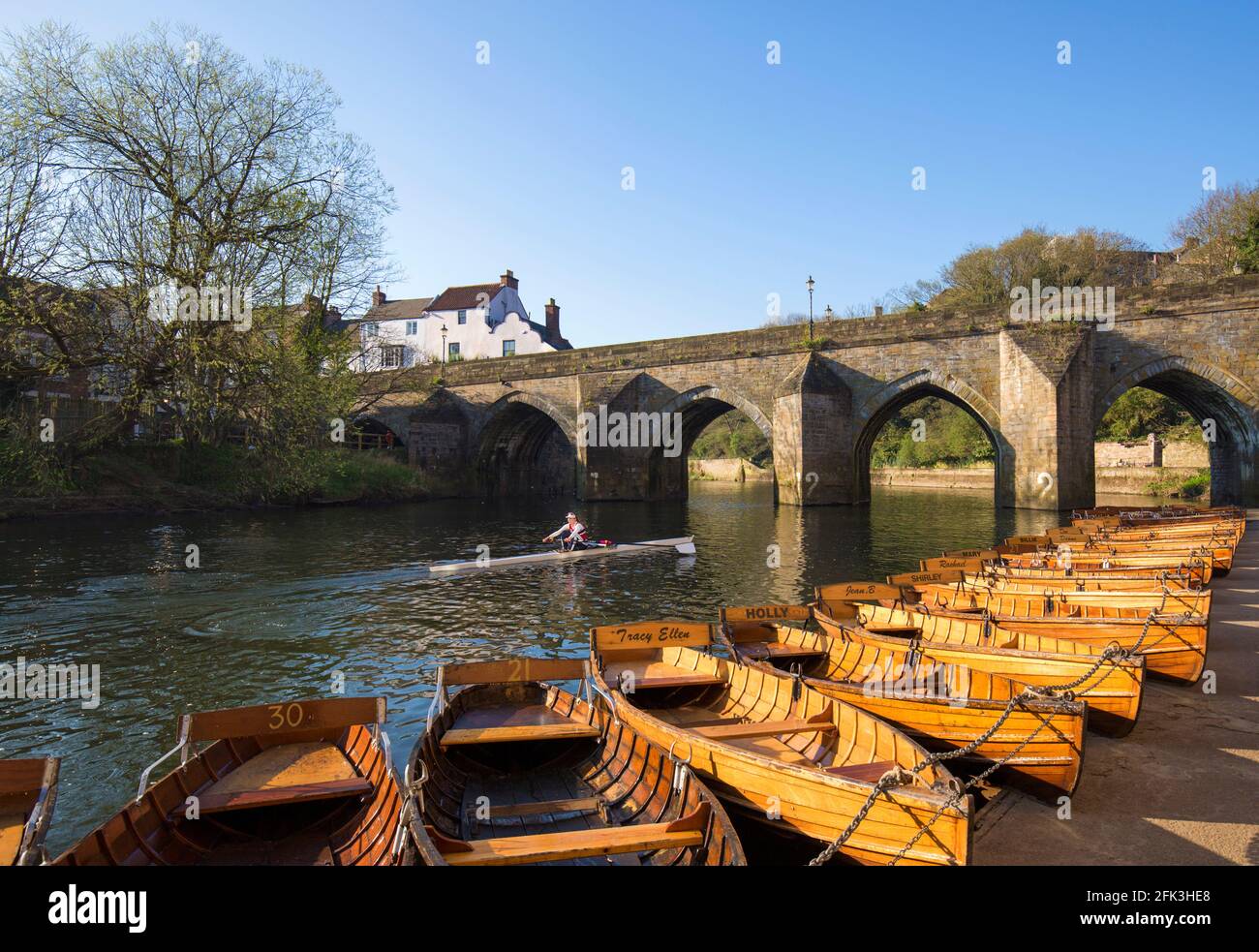 Durham, contea di Durham, Inghilterra. Barche a remi ormeggiate fianco a fianco sul fiume Wear sopra il ponte Elvet, vogatore solitario che si dirige a valle. Foto Stock