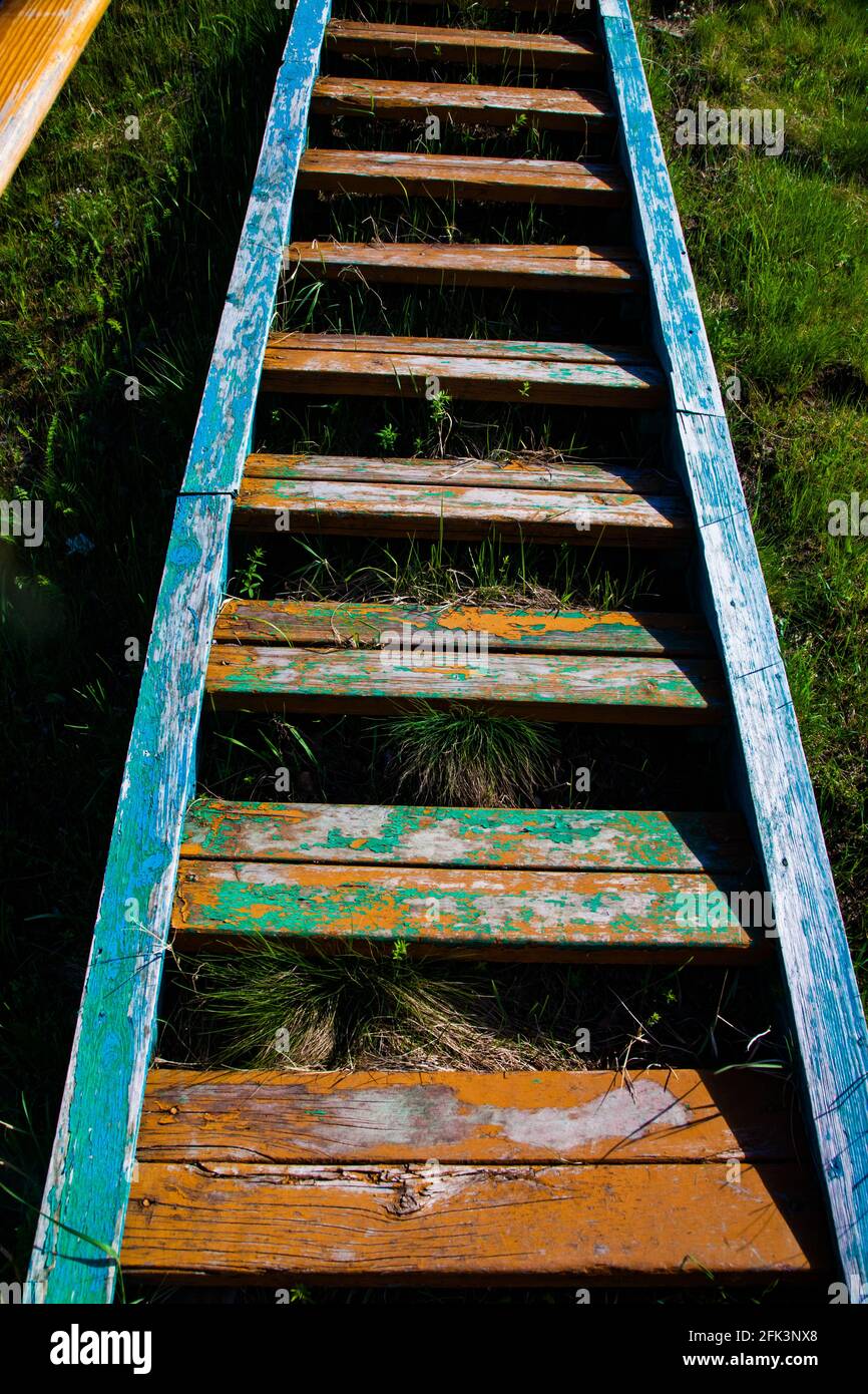 Vecchia scala di legno con vernice spaccata di vari colori. Erba verde. Abstact sfondo. Foto Stock