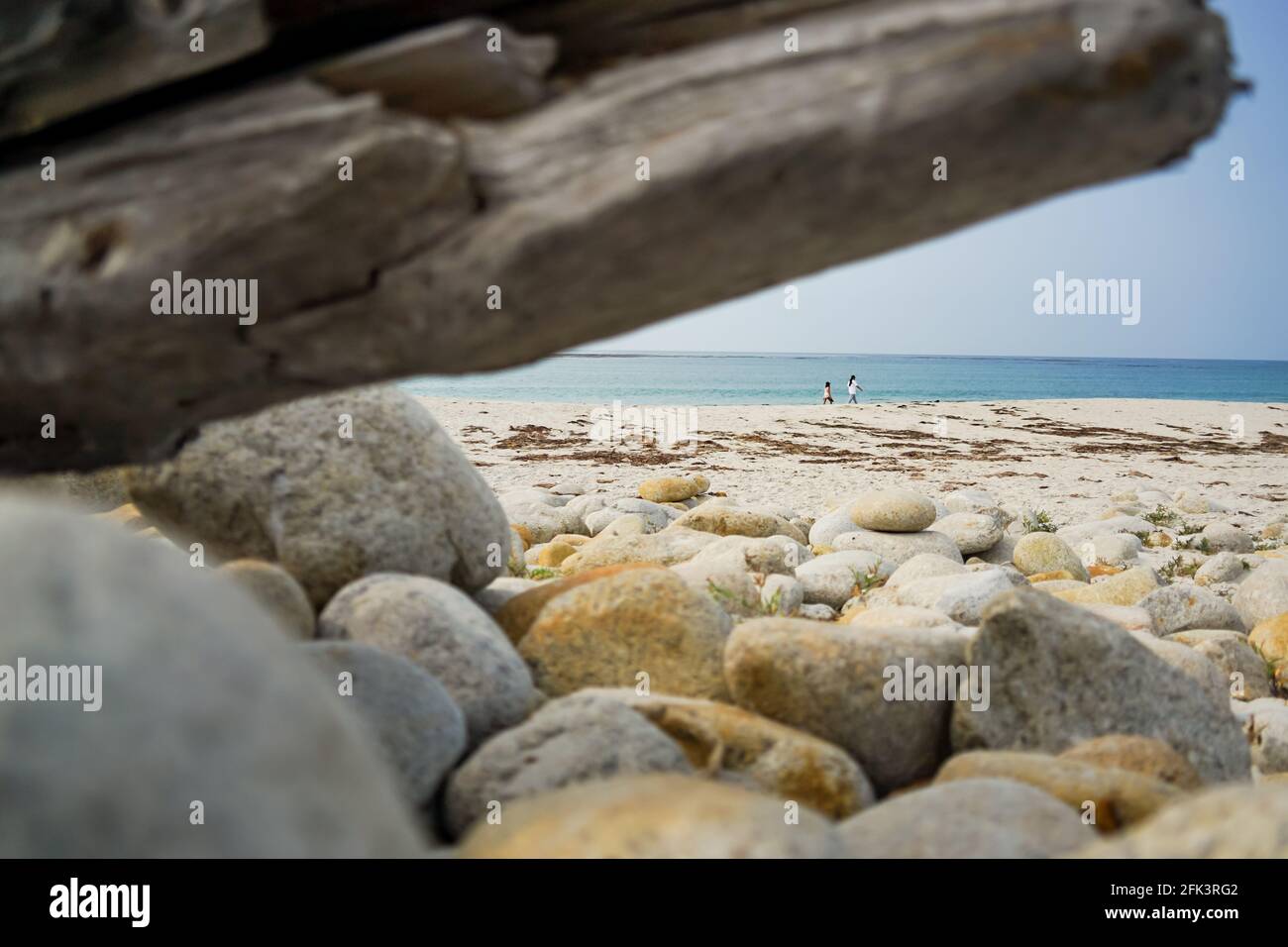 Scatto a lunga distanza di due donne che passeggiando su una spiaggia incorniciata da legno di driftwood e ciottoli in primo piano Foto Stock
