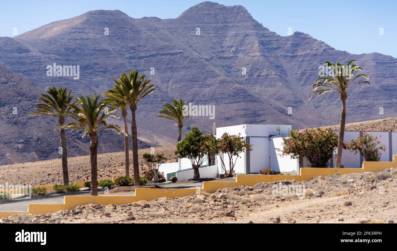 Proprietà di lusso solitaria con palme in un ambiente desertico Foto Stock