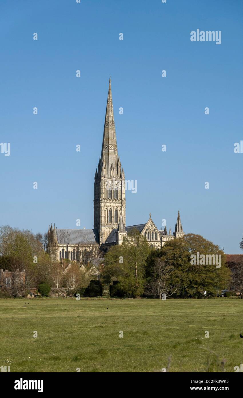 Salisbury, Wiltshire, Inghilterra, Regno Unito. 2021. La famosa cattedrale di Salisbury si affaccia sui prati della città. Foto Stock