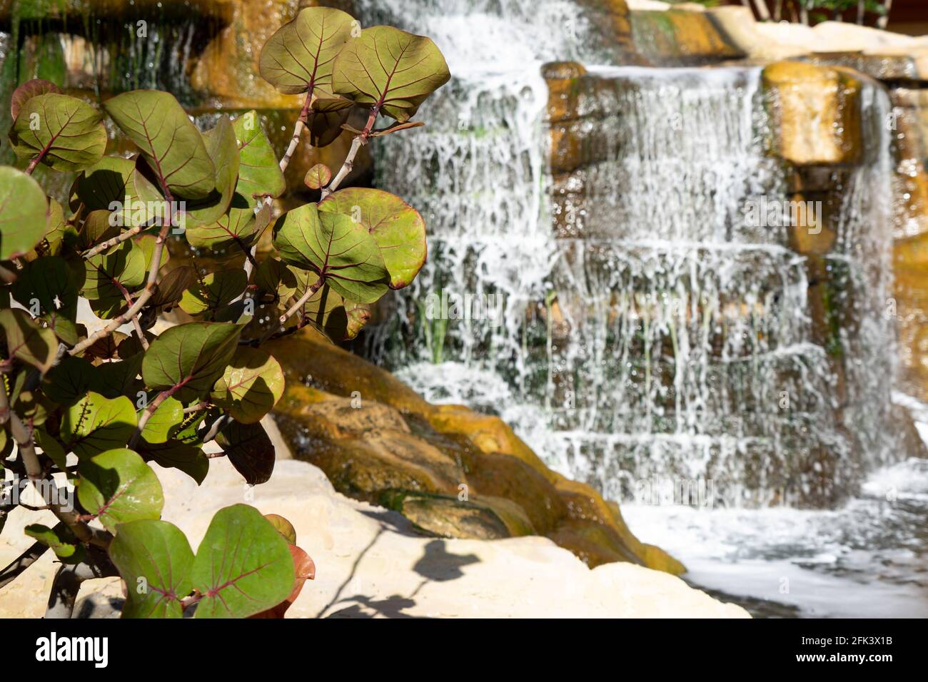 L'acqua scorre lungo una cascata artificiale in un elegante complesso alberghiero Foto Stock