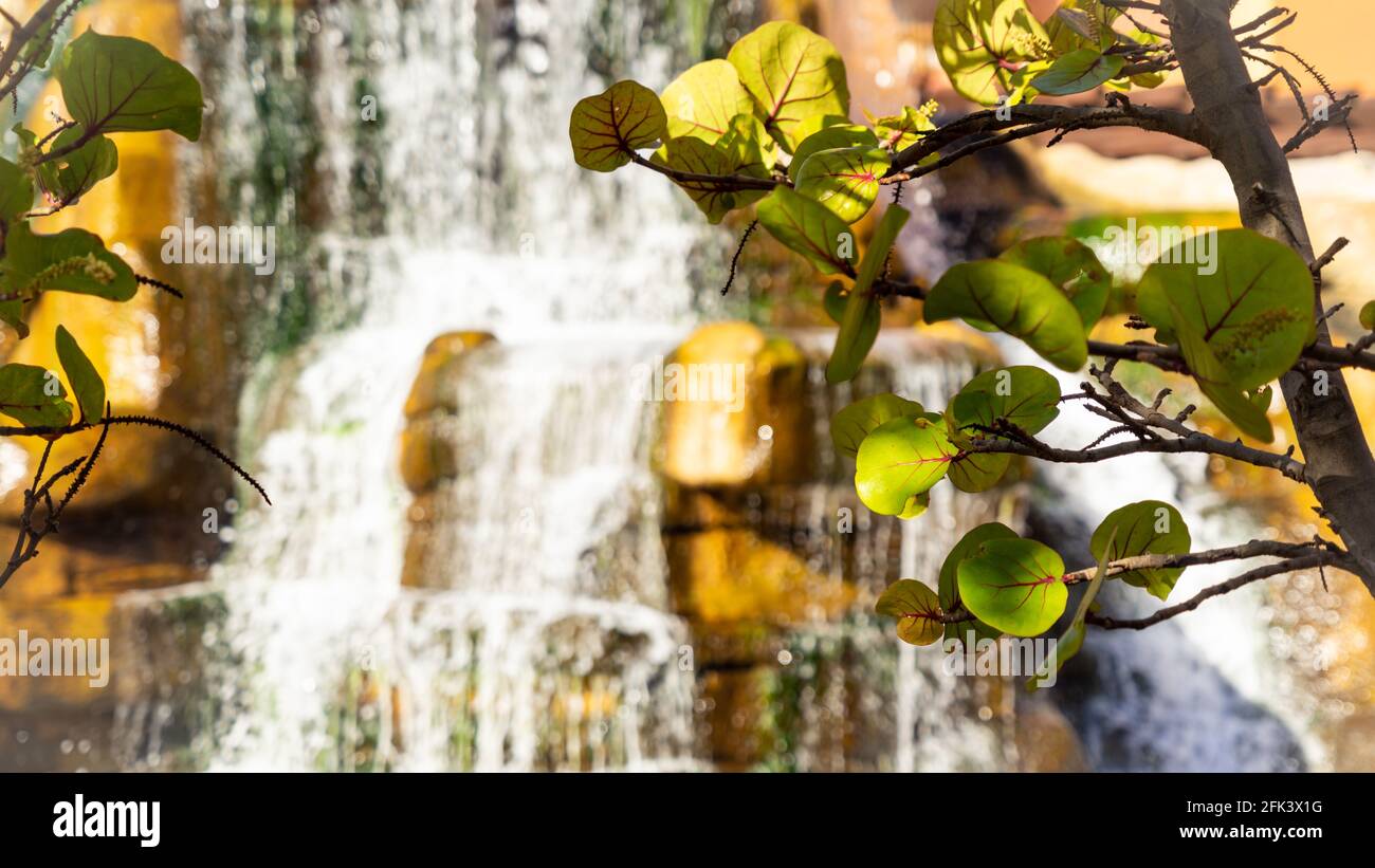 L'acqua scorre lungo una cascata artificiale in un elegante complesso alberghiero Foto Stock