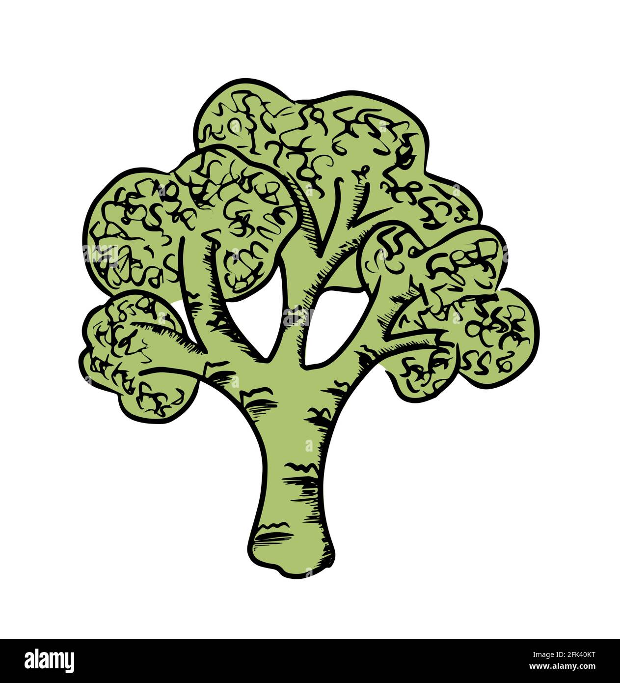 Illustrazione dei broccoli verdi isolata su sfondo bianco. Vettore Illustrazione Vettoriale