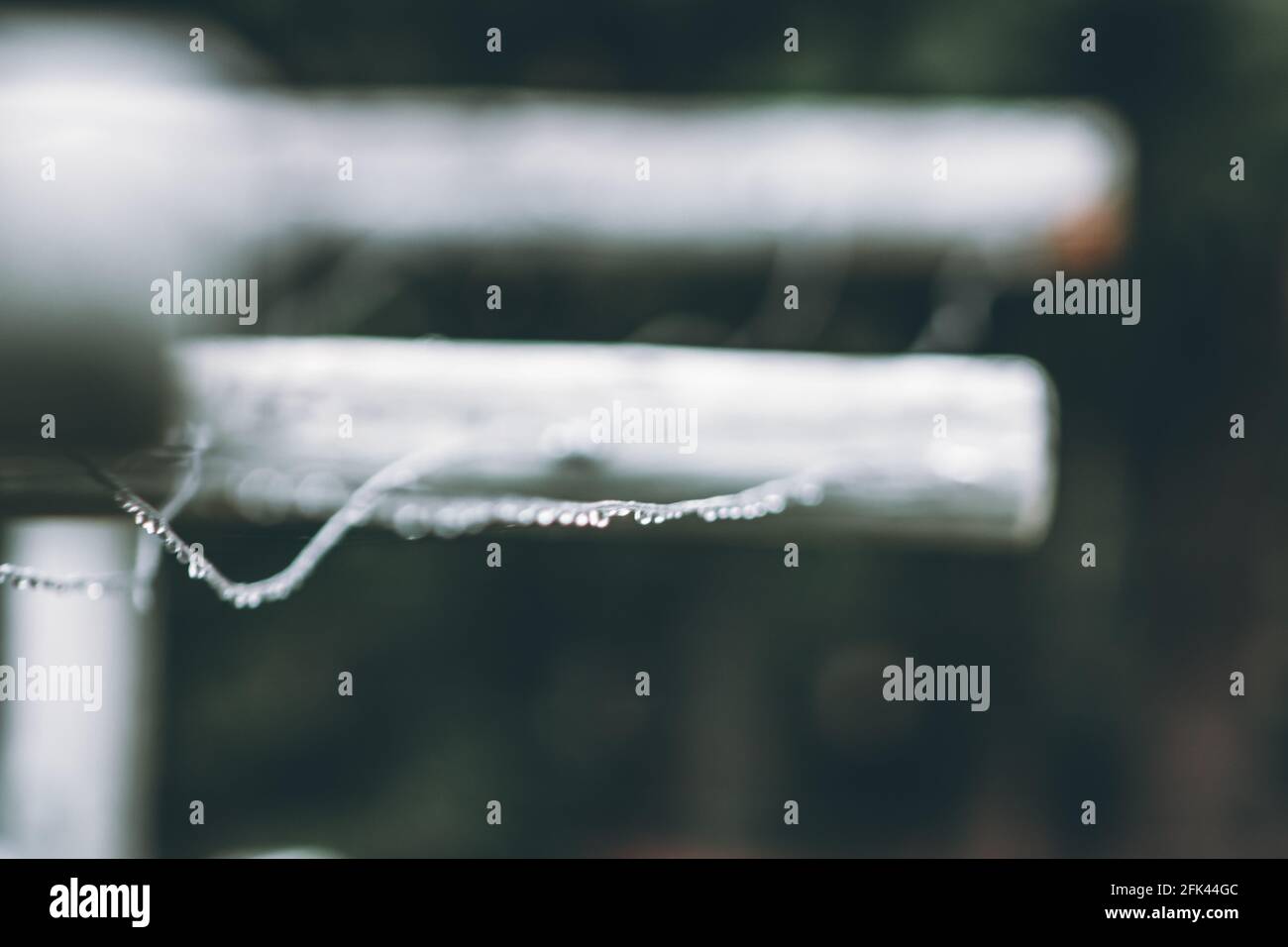 Gocce di pioggia trattenute dalla tensione superficiale su un clothesline rurale Foto Stock