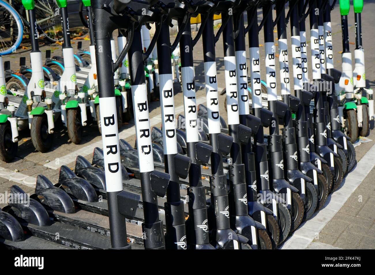 Una fila di scooters 'Bird' parcheggiati di fronte alla stazione principale di Düsseldorf. Foto Stock