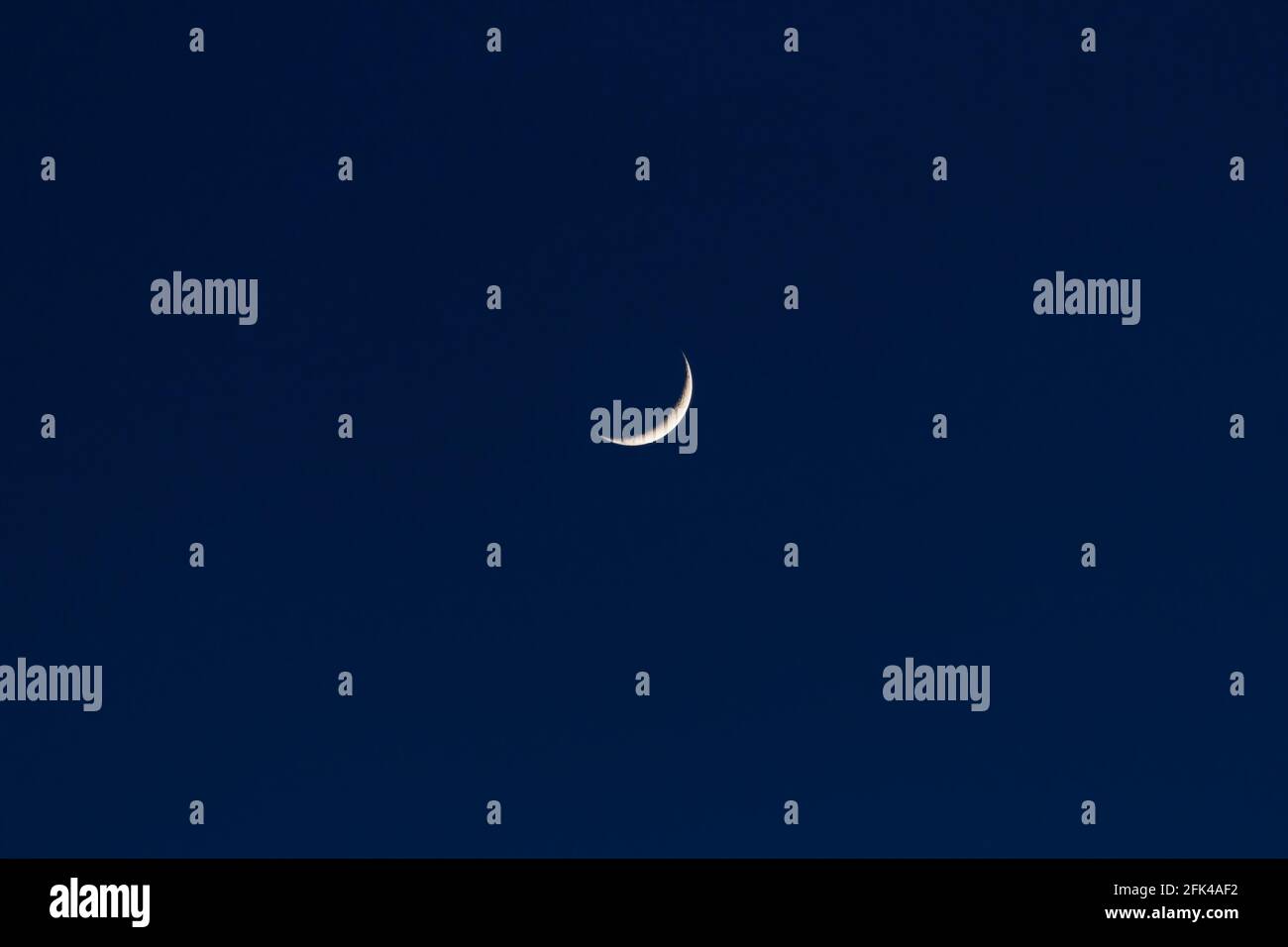 Luna crescente cerosa in un cielo notturno blu scuro molla Foto Stock