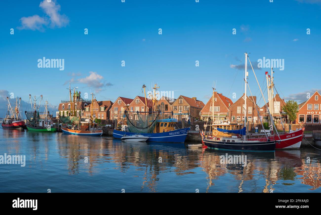 Taglierina per granchi nel porto di pesca, Neuharlingersiel, bassa Sassonia, Germania, Europa Foto Stock