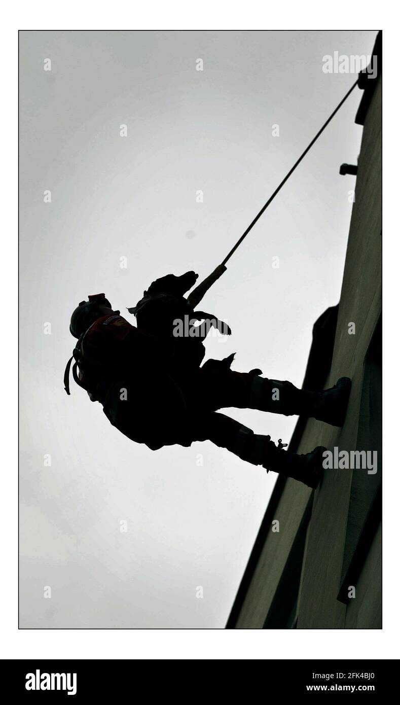 Servizio di discesa degli incendi Rescue Dogs... che stanno frequentando Crufts pratica sul Kennel Club Building a Londra prima della loro apparizione a Crufts dal 10 al 13 marzo 2005 Handler Neil Woodmansey, Lincolnshire Fire and Rescue Service con il suo Labrador Holly.pic David Sandison 1/3/2005 Foto Stock