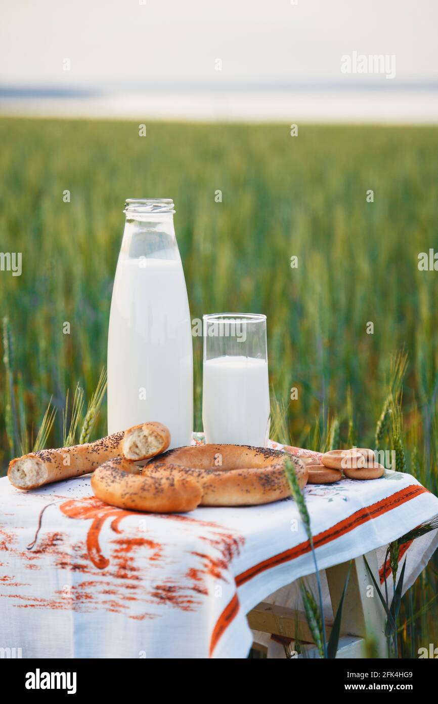 Picnic all'aperto. Bottiglia e bicchiere di latte con pane e bagel su un piccolo tavolo in campo verde Foto Stock