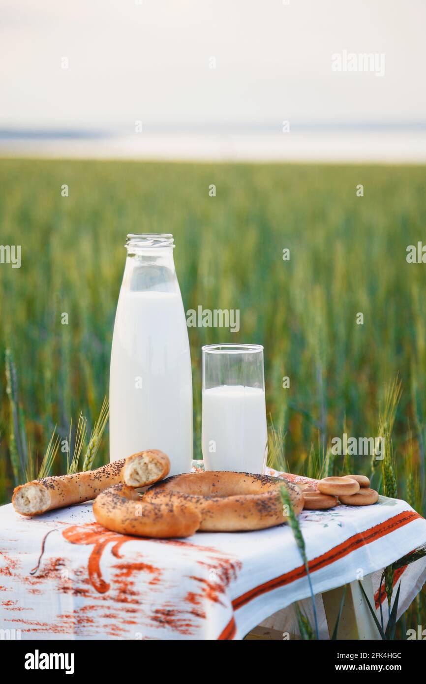 Bottiglia e bicchiere di latte con pane e bagel a un piccolo tavolo in campo verde Foto Stock