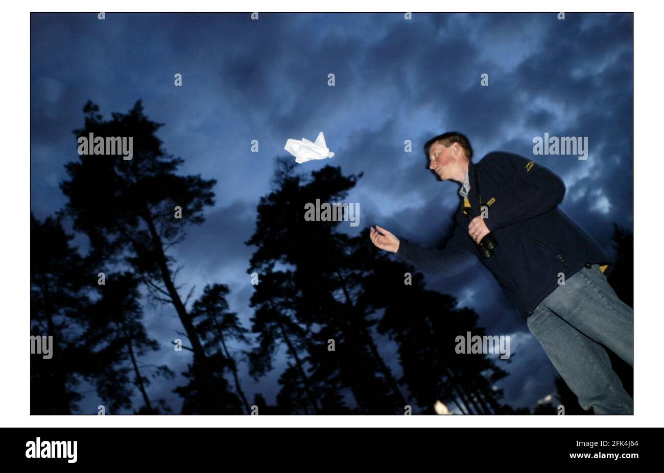 La ricerca di un barattolo notturno a Norfolk. Greg Conway lancia un'ankie con una pietra per attrarre il birdspic David Sandison 1/7/2004 Foto Stock