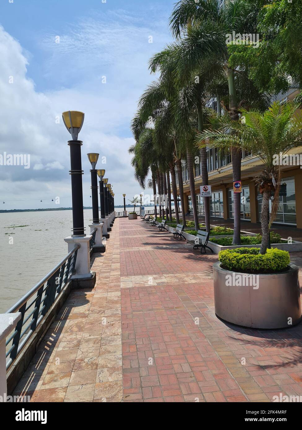 Viale vuoto a Guayaquil Ecuador durante l'epidemia di Covid-19 Foto Stock