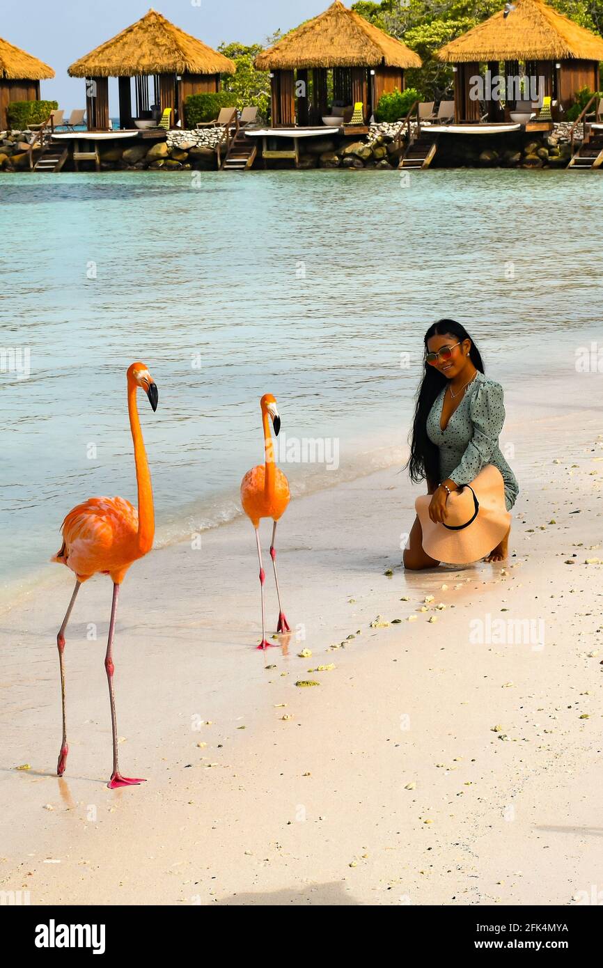 Donna Latina con 2 fenicotteri in una spiaggia di Aruba con cabanas sullo sfondo. Foto Stock