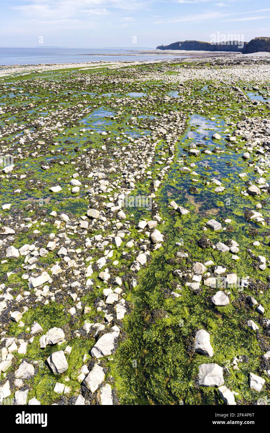 Geological strati di roccia a Kilve Beach, Somerset REGNO UNITO - parte di un grande sito di particolare interesse scientifico (SSSI) Foto Stock