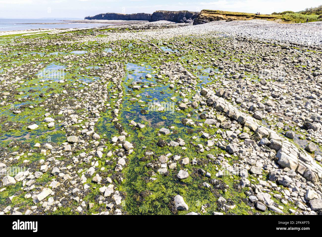 Geological strati di roccia a Kilve Beach, Somerset REGNO UNITO - parte di un grande sito di particolare interesse scientifico (SSSI) Foto Stock