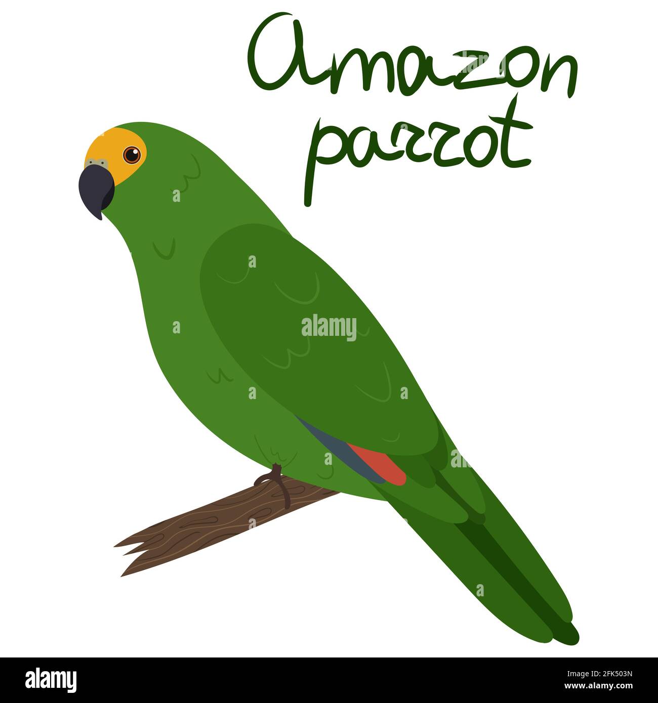 Amazon pappagallo in stile cartoon su sfondo bianco. Illustrazione vettoriale disegnata a mano. Amazona Parakeet Illustrazione Vettoriale