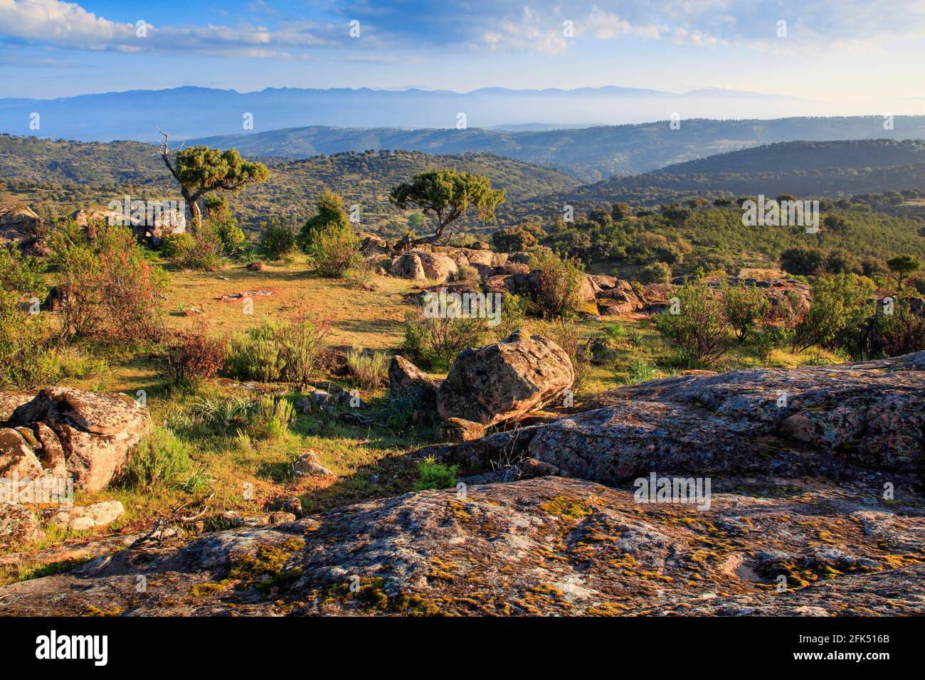 Typische Landschaft im Nationalpark Sierra de Andújar, Andalusia, Spagna Foto Stock