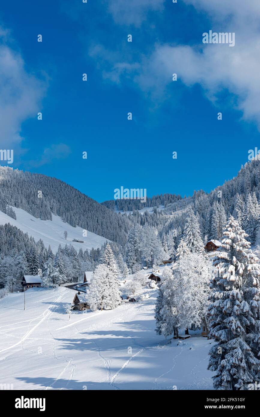 Svizzera, Vaud, Waadt, Hiver, inverno, neige, Schnee, Snow, Orgevaux, Les Avents, montagnes, Berge, montagne, maisons, Hauser, Case, chalet *** L Foto Stock